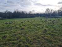 Vente de terrain