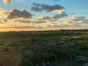 Vente Terrain 456 m&sup2;Pleurtuit