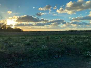 Vente Terrain 341 m&sup2;Pleurtuit