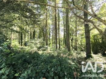 Vente Terrain 7084 m&sup2;Pleyben