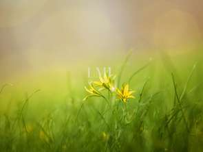 Vente Terrain 1990 m&sup2;Ploemeur