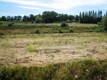 Vente de terrain Ploërdut 56