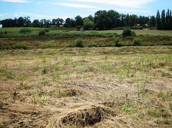 Vente de terrain