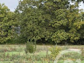 Vente Terrain 317 m&sup2;Ploeren