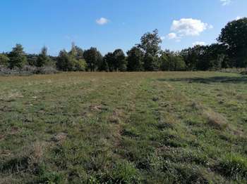Vente Terrain 4000 m&sup2;Ploërmel