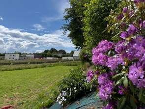 Vente Terrain 534 m&sup2;Plomelin