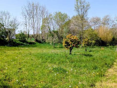 Vente de terrain