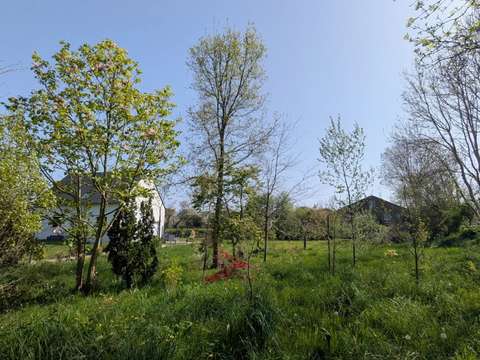 Vente de terrain