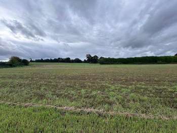 Vente de terrain Plouasne 22