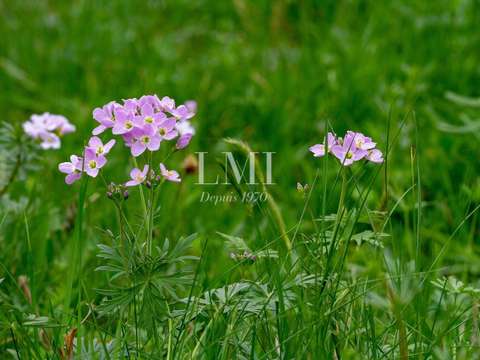 Vente de terrain Plouay 56