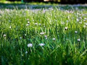 Vente Terrain 662 m&sup2;Plouay