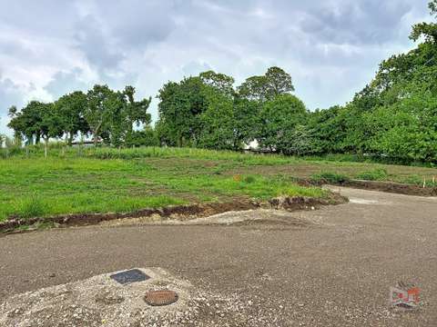 Vente de terrain