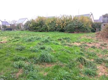 Photo Vente de terrain Ploudiry