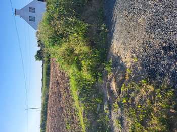 Vente Terrain 335 m&sup2;Plouénan
