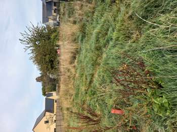 Vente Terrain 583 m&sup2;Plouër-sur-Rance