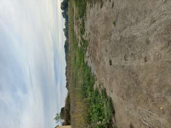 Vente Terrain 580 m&sup2;Plouër-sur-Rance