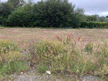 Vente Terrain 740 m&sup2;Plouescat