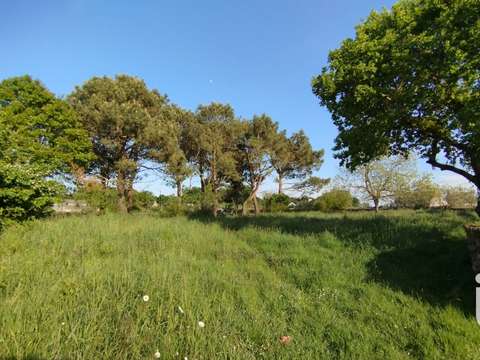 Vente de terrain Plouezoc'h 29