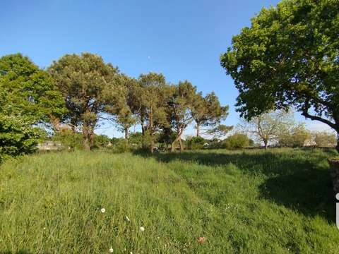 Vente de terrain Plouezoc'h 29