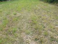Vente de terrain