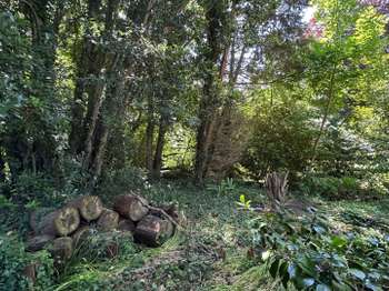 Vente de terrain Plougonvelin 29