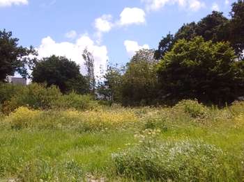 Vente Terrain 650 m&sup2;Plougonvelin