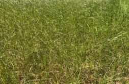 Vente Terrain 395 m&sup2;Plougoulm