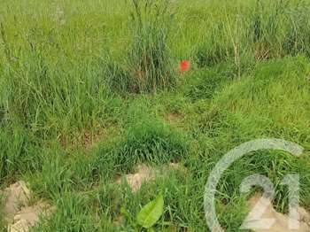 Vente Terrain 320 m&sup2;Plougoumelen