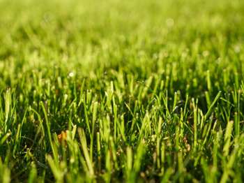 Vente Terrain 92600 m&sup2;Plouguenast