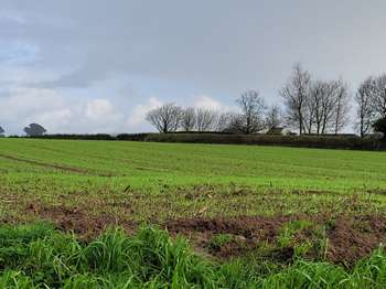 Vente Terrain 440 m&sup2;Plouguerneau