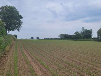 Vente Terrain 439 m&sup2;Plouguerneau