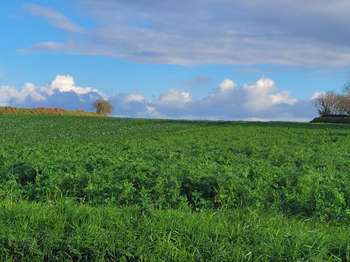 Vente Terrain 475 m&sup2;Plouguerneau