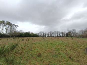 Vente Terrain 6386 m&sup2;Plouguernével