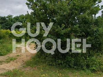 Vente de terrain Plouha 22
