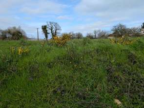 Vente Terrain 1707 m&sup2;Plouha