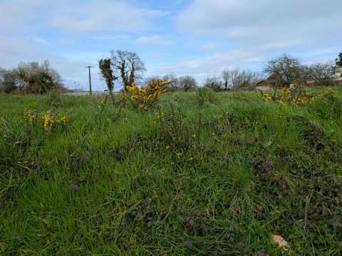 Vente de terrain Plouha 22