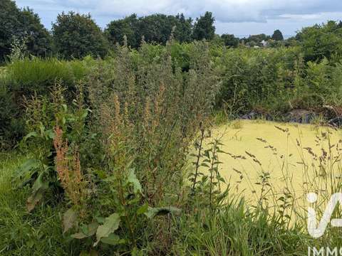 Vente de terrain