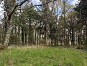 Vente Terrain 43500 m&sup2;Plouhinec