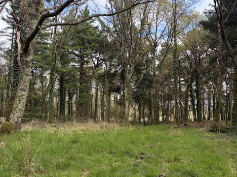 Vente de terrain Plouhinec 56