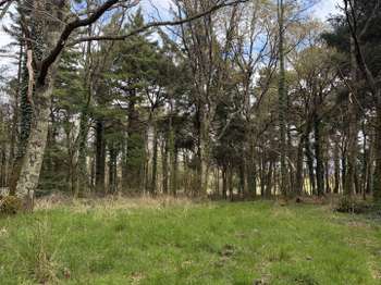 Vente de terrain Plouhinec 56