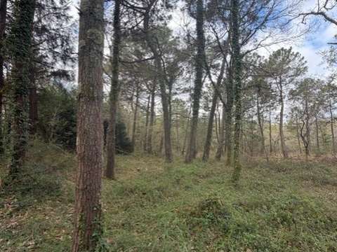 Vente de terrain