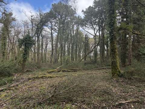Vente de terrain