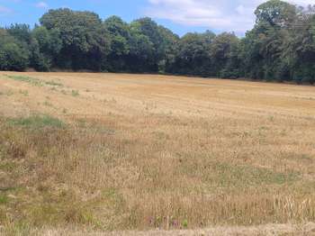 Vente Terrain 461 m&sup2;Plouigneau