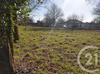 Vente de terrain