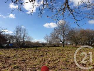 Vente de terrain