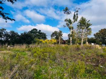 Vente de terrain Ploulec'h 22