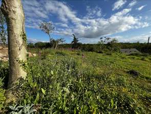 Vente Terrain 774 m&sup2;Ploulec'h