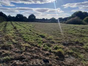 Vente Terrain 2672 m&sup2;Ploumagoar