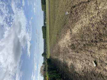 Vente Terrain 540 m&sup2;Plounéventer