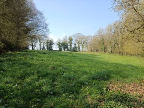 Vente de terrain